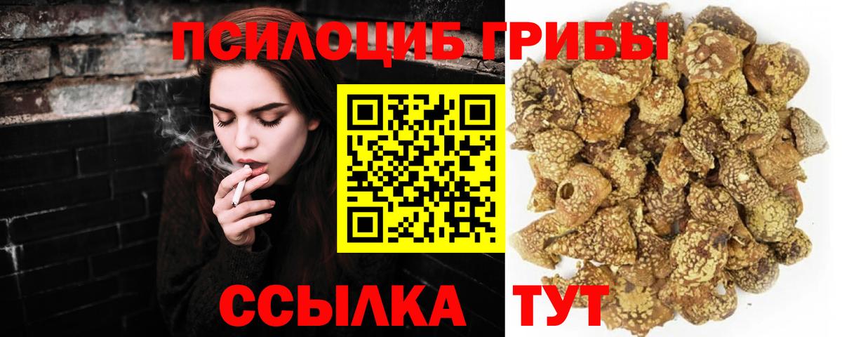 Галлюциногенные грибы Cubensis Соль-Илецк